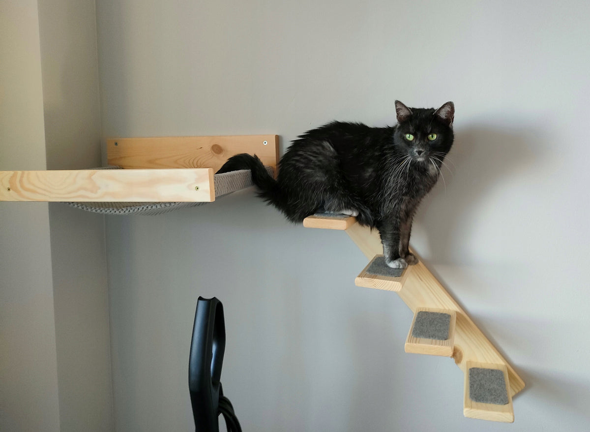 Cat stairs on the wall