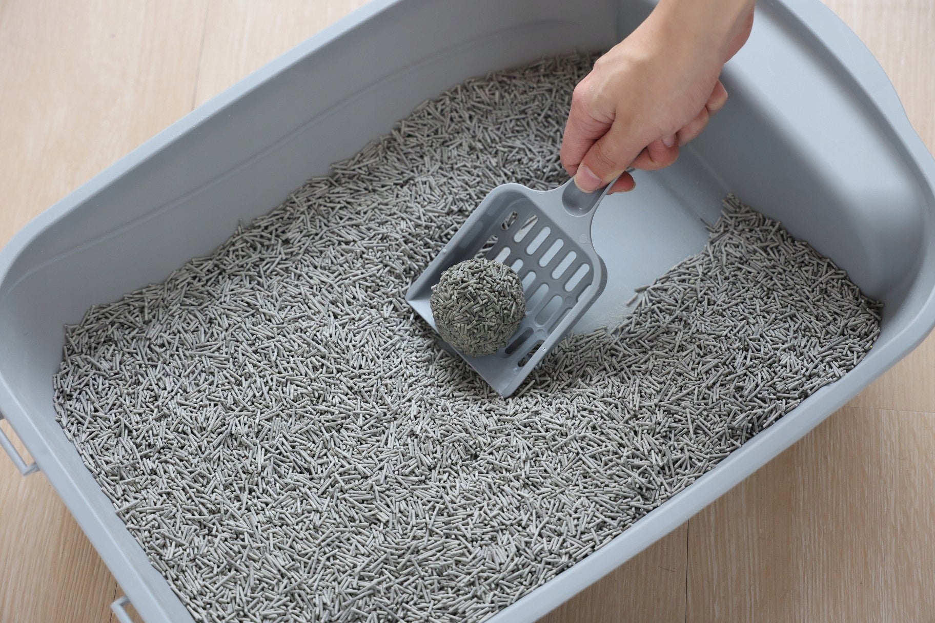 Cat tofu litter cat litter activated natural carbon 2.5KG SNAPPY Volume 6 l
