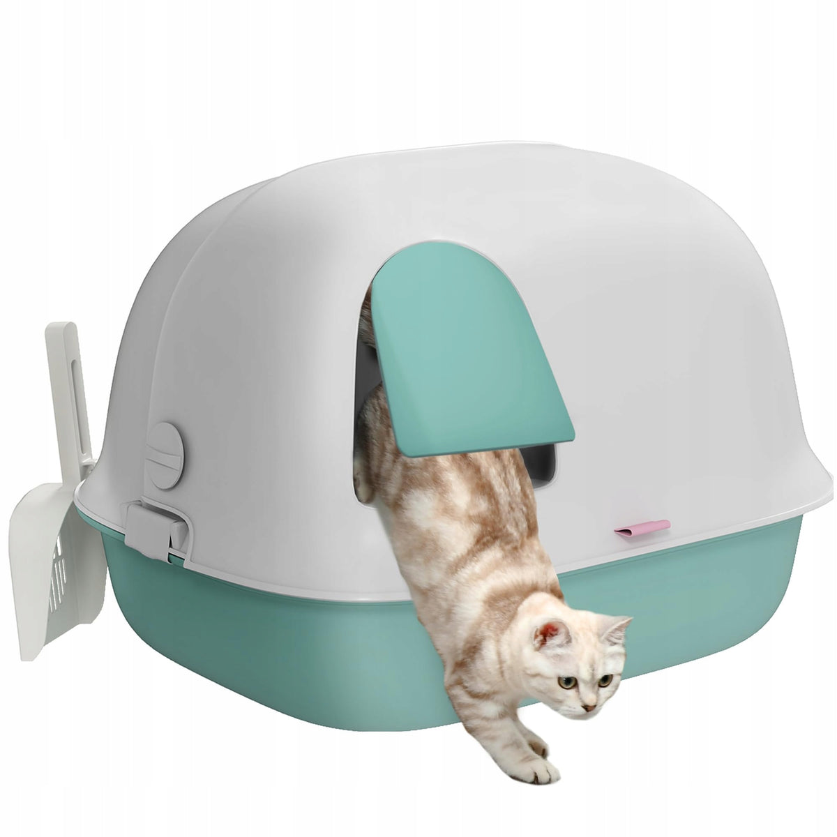 Cat toilet with lid, strainer, door, spatula