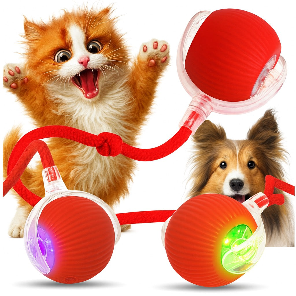 Cat toy – 2x interactive, escaping ball for independent play Packaging status original