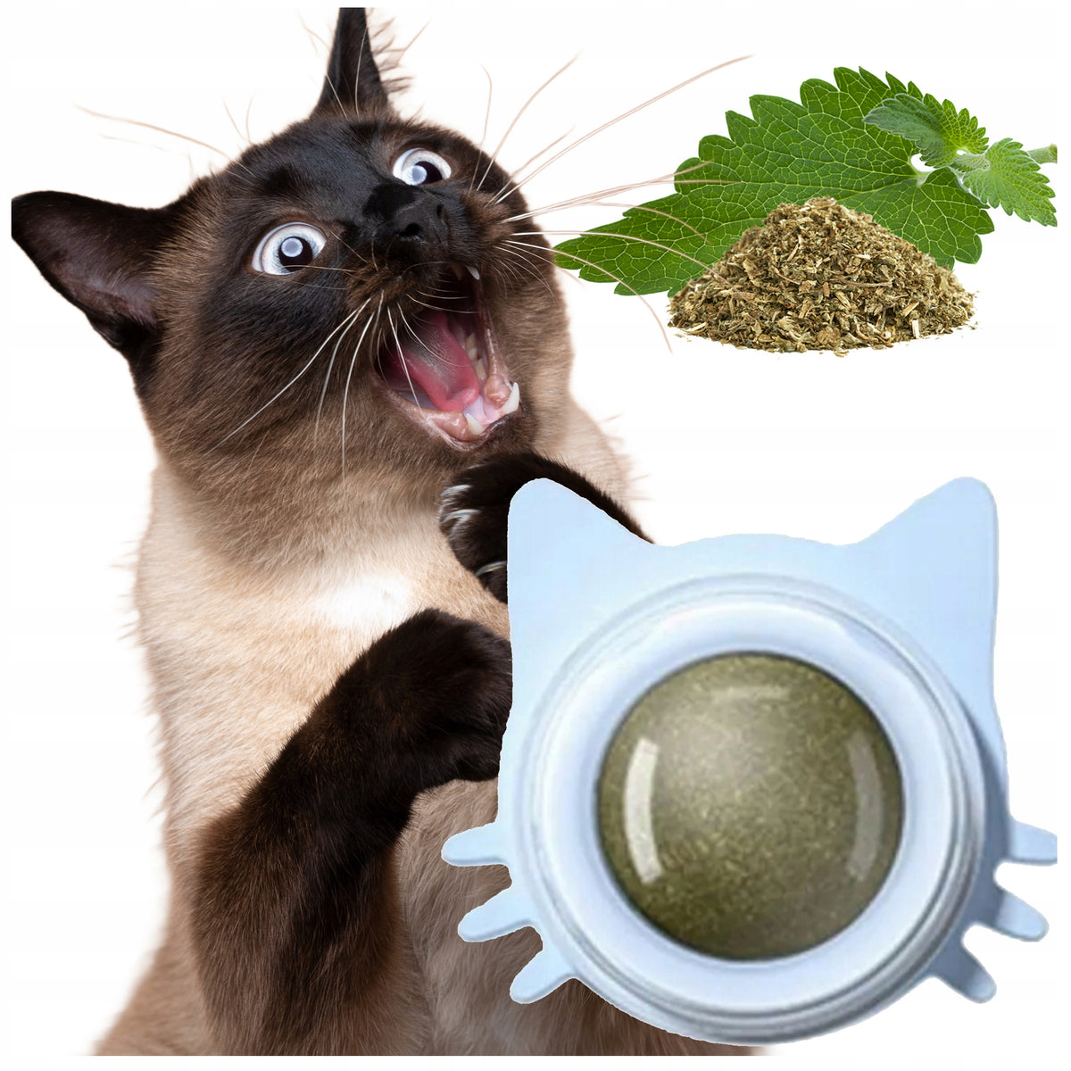 Catnip toy for cats, DRIED CATNIP BALLS, blue