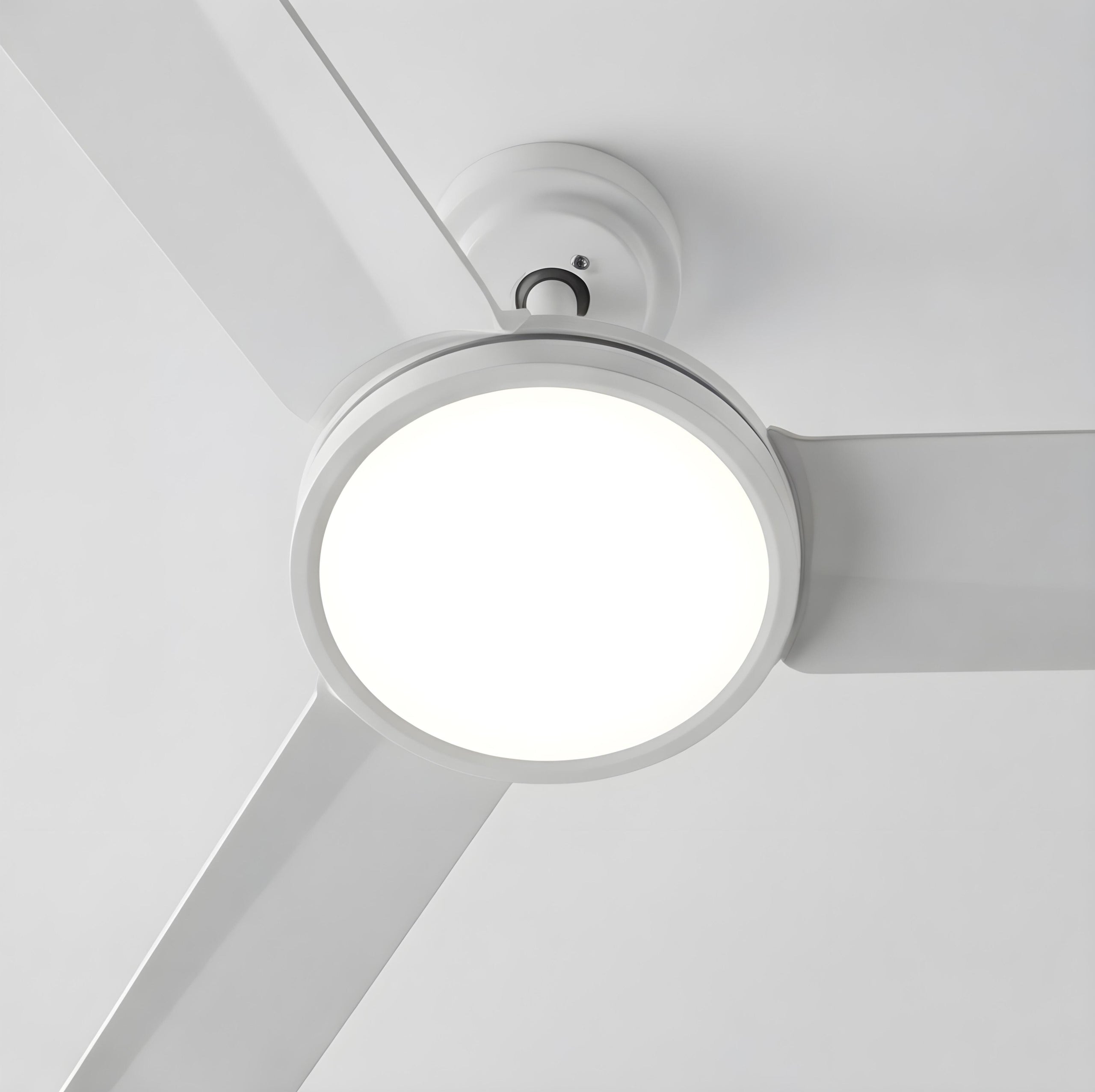 Ceiling Fan LUNARIS DC LED White - 132cm | Dimming Lamp Brand DaxtonFan