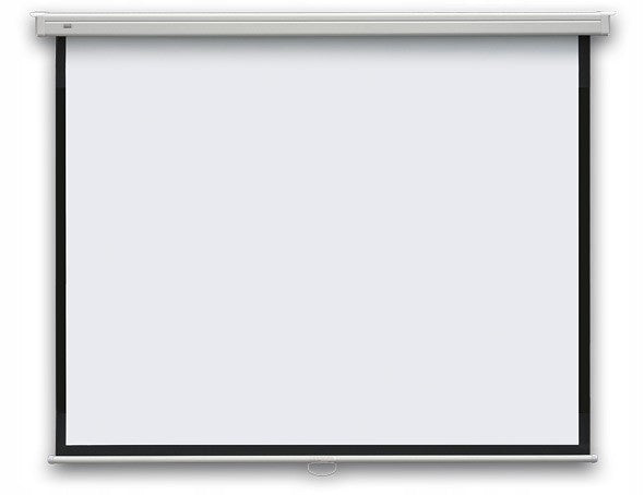 Ceiling Wall Projection Screen Large Handheld 195x145 cm 100 inches