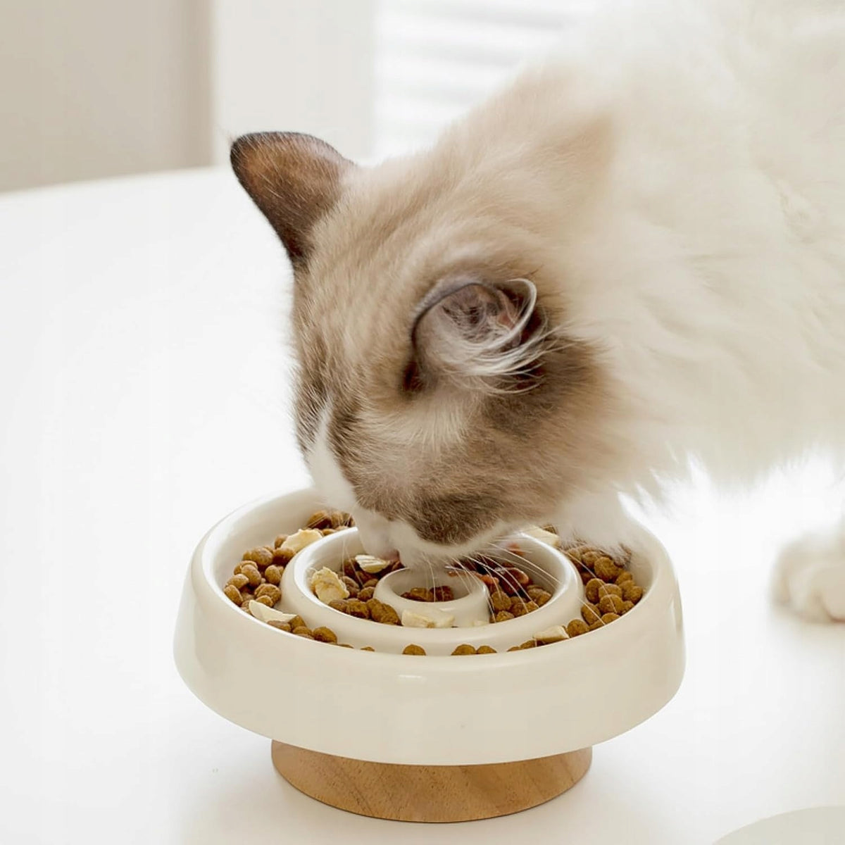 Ceramic Cat Bowl Slowing Down Packaging status original