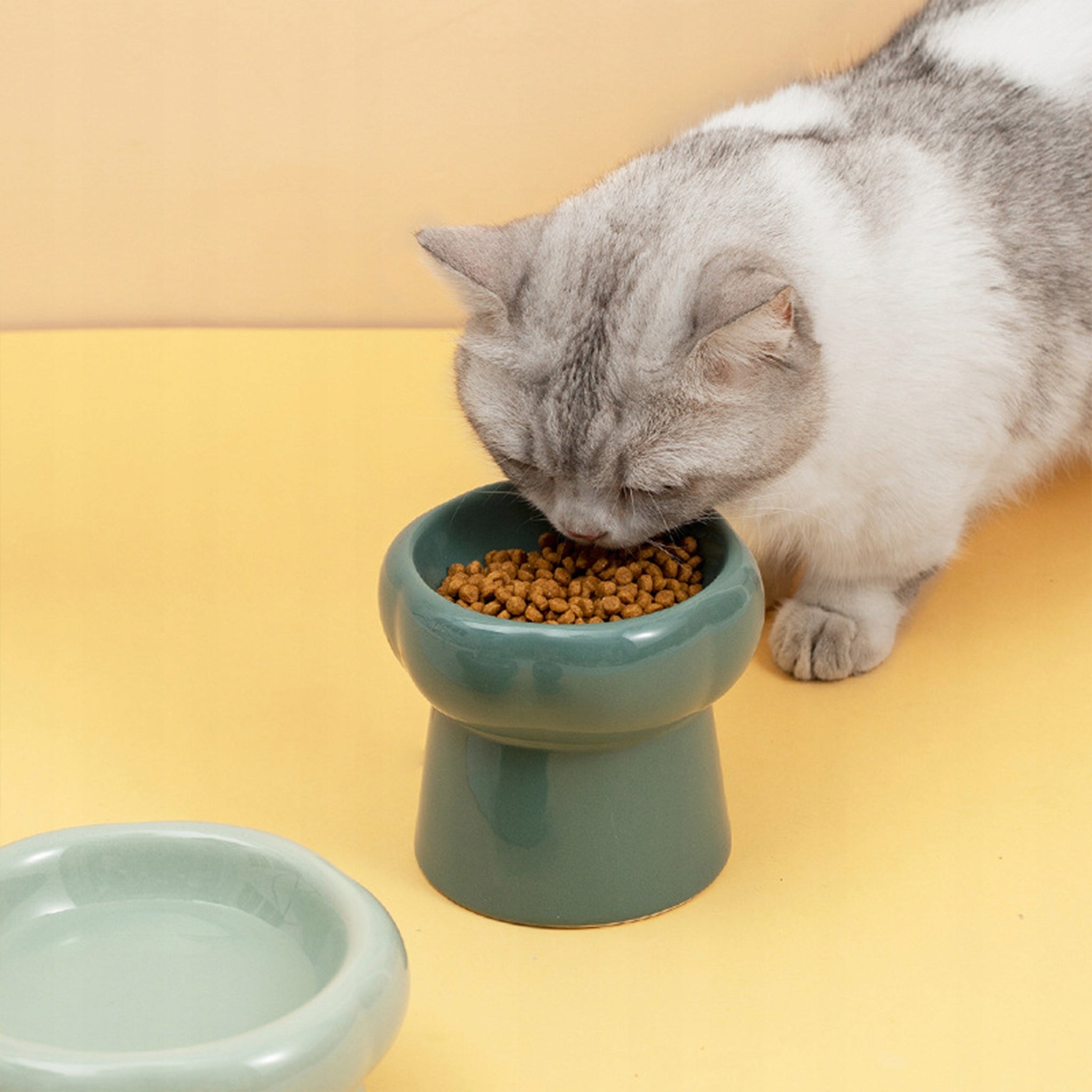 Ceramic Design Cat Dog Bowl Elevated Dark Green 180ml Material ceramic