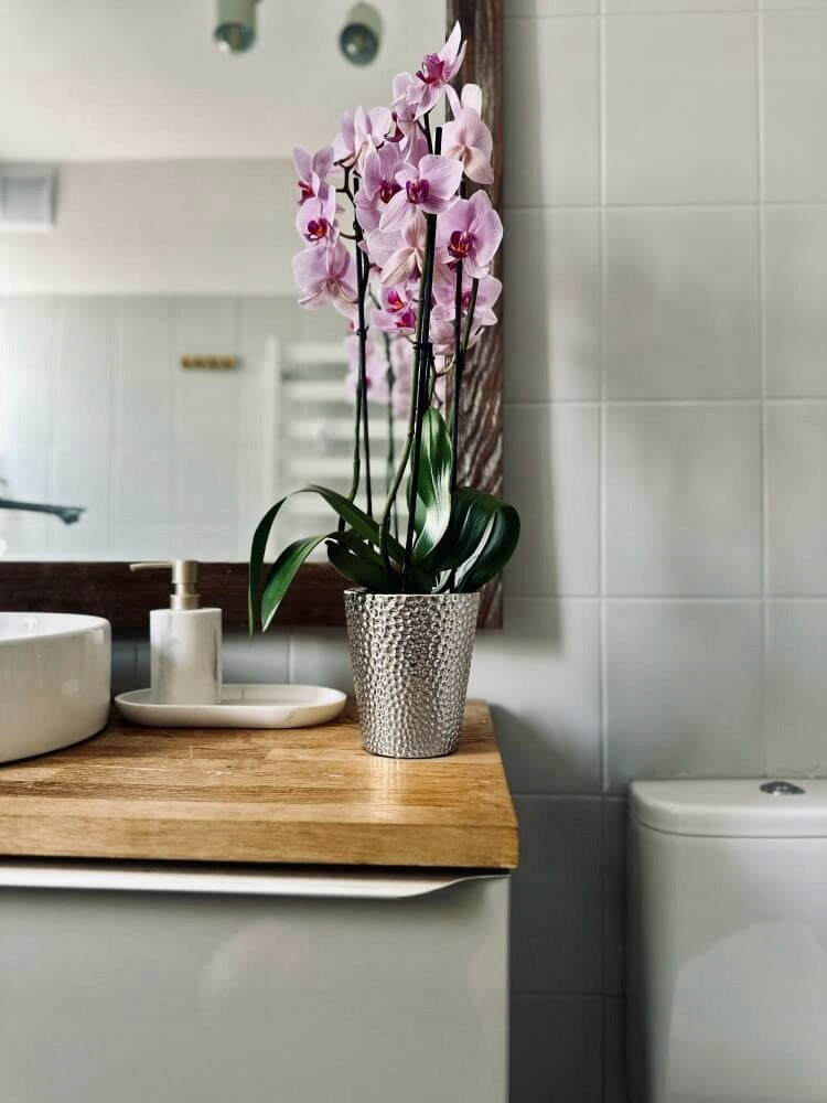Ceramic Flower Pot Orchid 13x15 cm silver / silver Manufacturer code 05.381.13