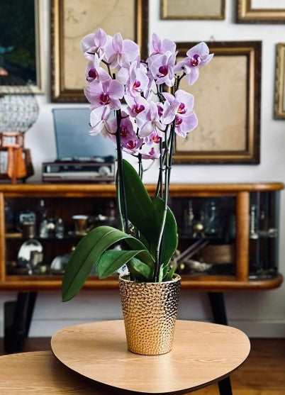 Ceramic Flower Pot Orchid 13x15 cm silver / silver Maximum width 13 cm