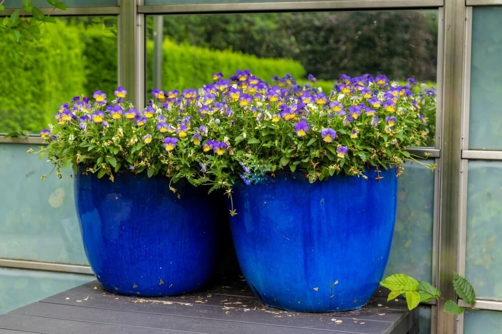 Ceramic Garden Planter with Stand Cobalt 32x26 cm Brand Polnix