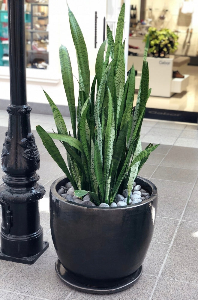 Ceramic Garden Planter with Stand Green 23x19 cm Length 20 cm