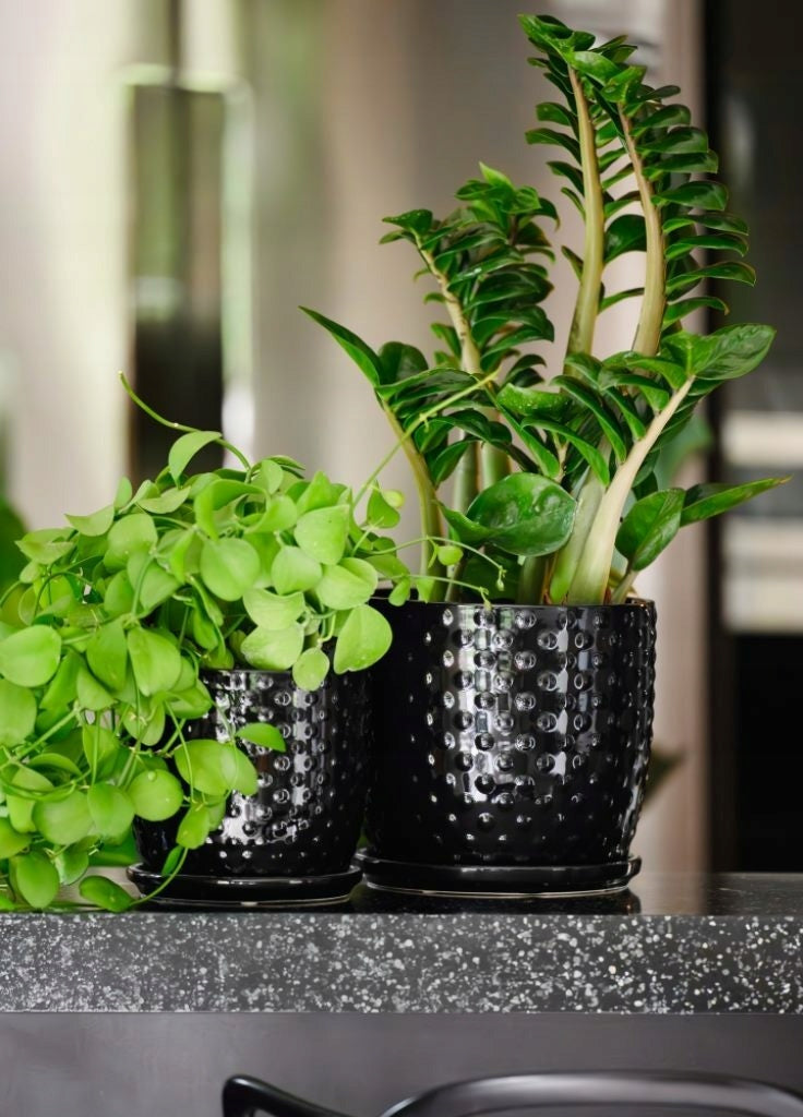 Ceramic planter with stand 13 cm - black Packaging status original