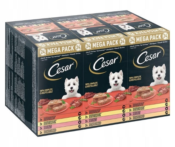 Cesar Classic Terrine wet dog food mix of meat flavors 24x150g