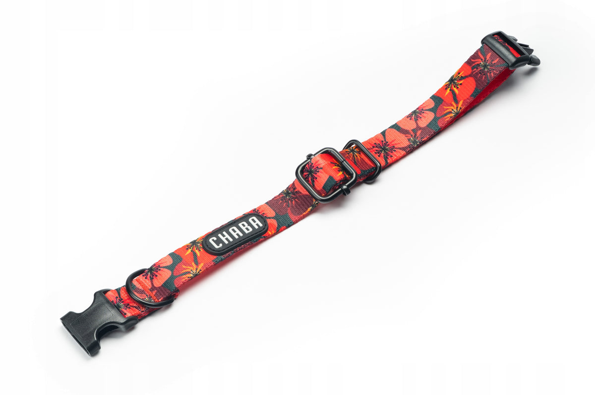 Chaba Dog collar OPIUM adjustable strong durable Packaging status original