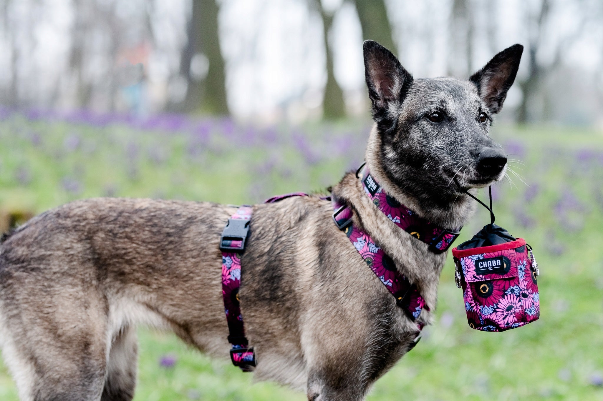 Chaba Walking Harness Guard For Dog | LAKOTA Pattern | Decorative, Strong, Patterns Color multicolor