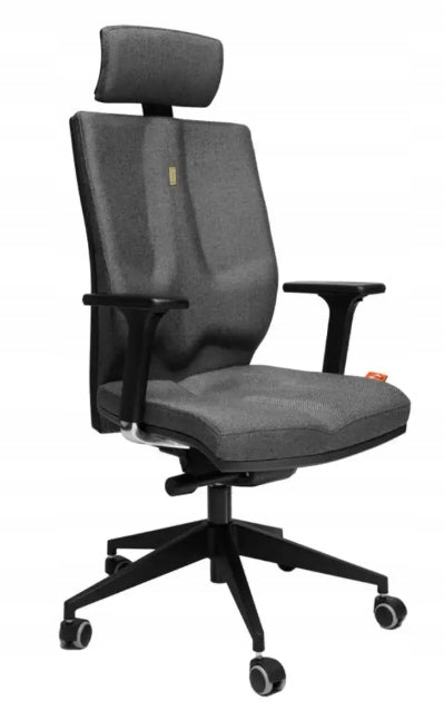 Chair for People with Discopathy for Long-Term Premium Work for Learning EAN (GTIN) 753866844157