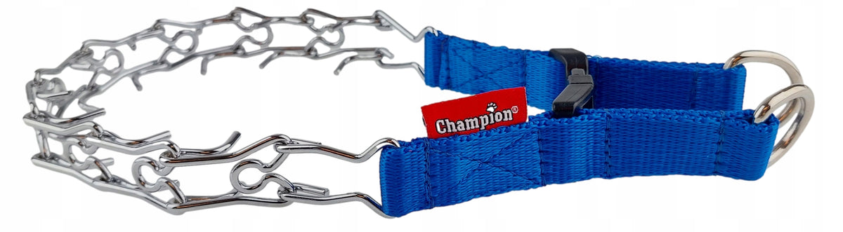 Champion Dog Earring with Latch on Tape Roz. T1 Blue