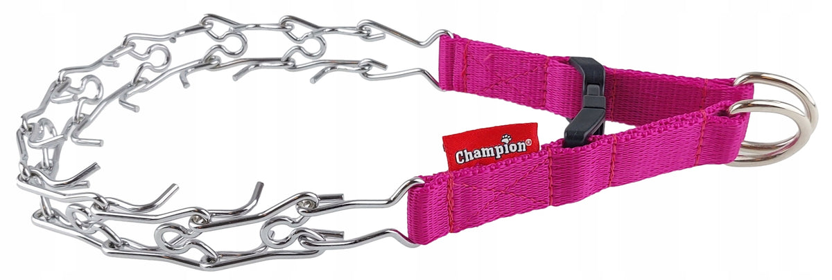 Champion Dog Earring with Latch on Tape Roz. T1 Pink Fuchsia