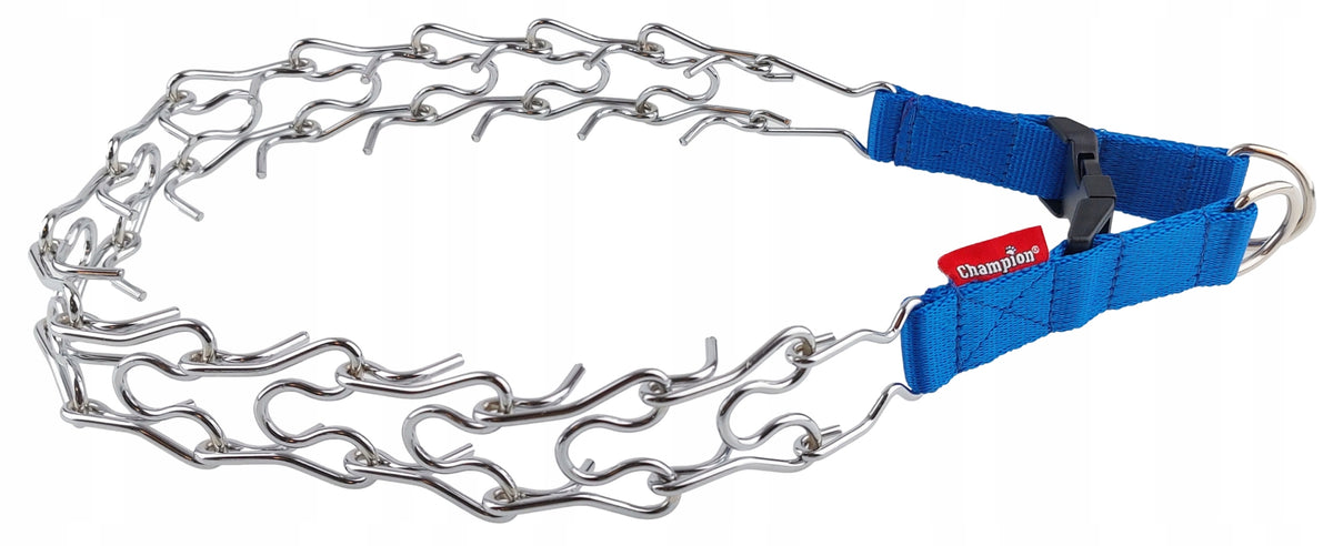 Champion Dog Earring with Latch on Tape Roz. T3 Blue