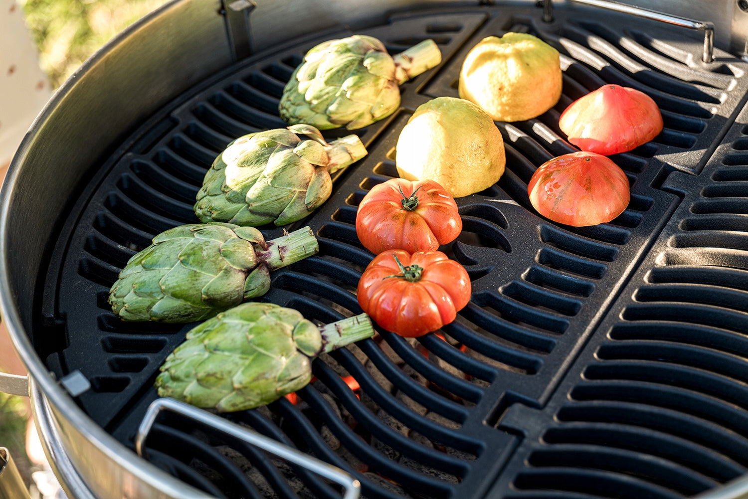 Charcoal grill Napoleon PRO22 Manufacturer Napoleon