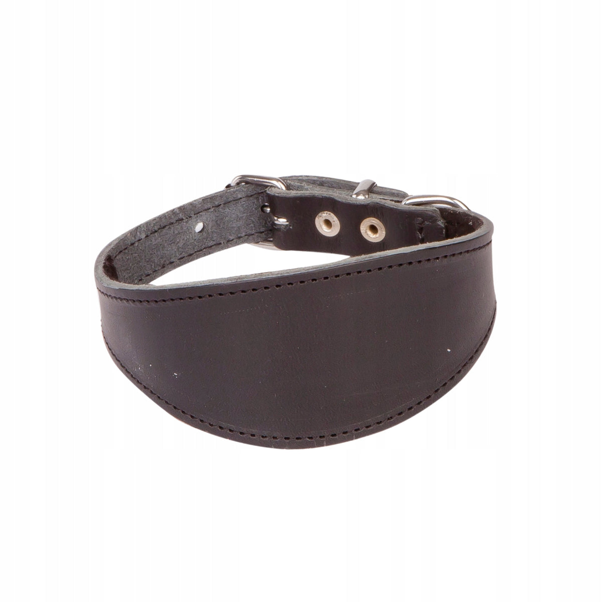 Charta DINGO Classic XS Dog Collar - 28cm Black