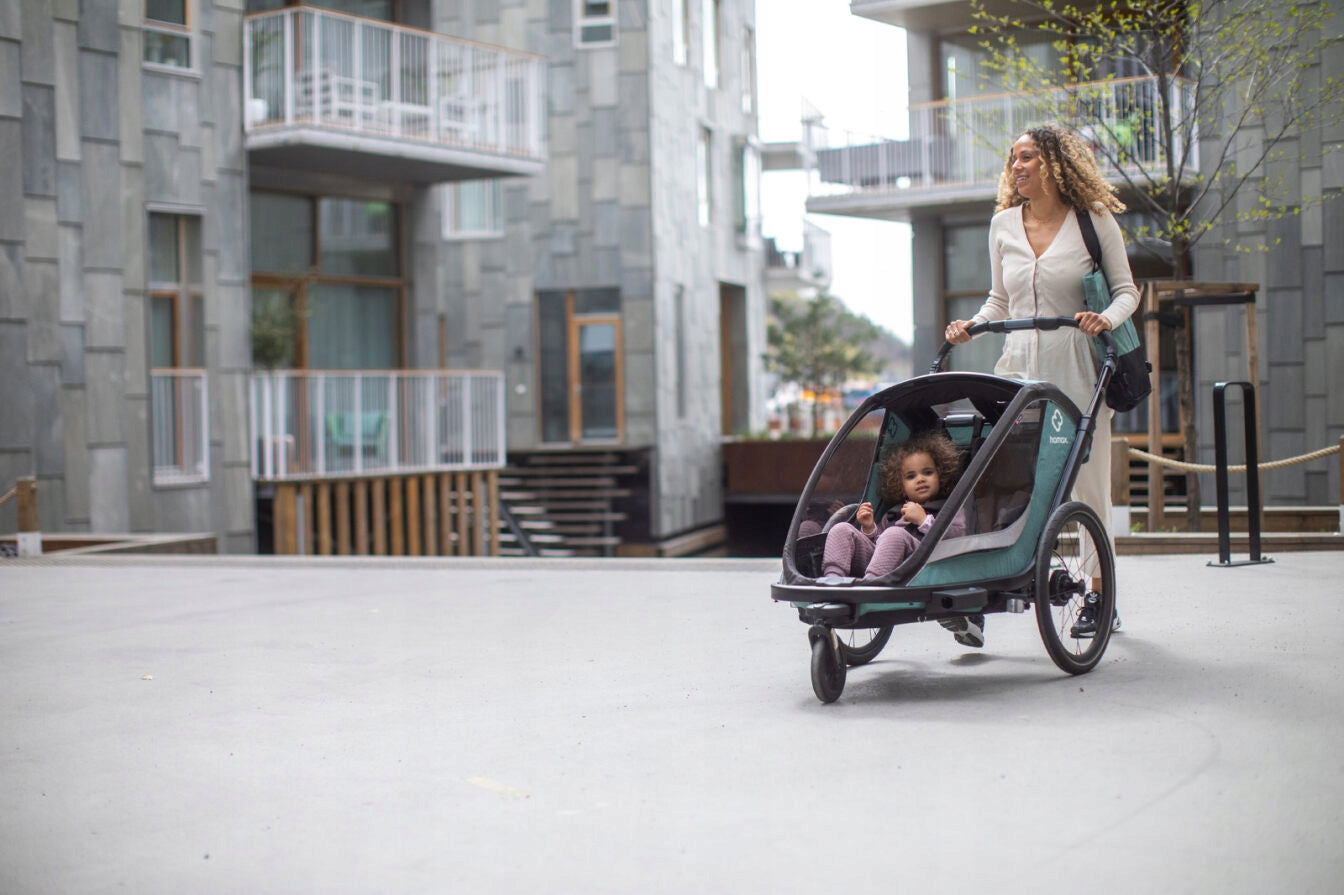 Children's bicycle trailer Hamax Cocoon One Model Cocoon One
