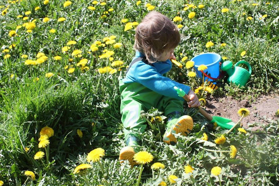 Children's bottoms 3Kamido, waders, waders - CROCODILES, green 32/33 Manufacturer code 5902627426988