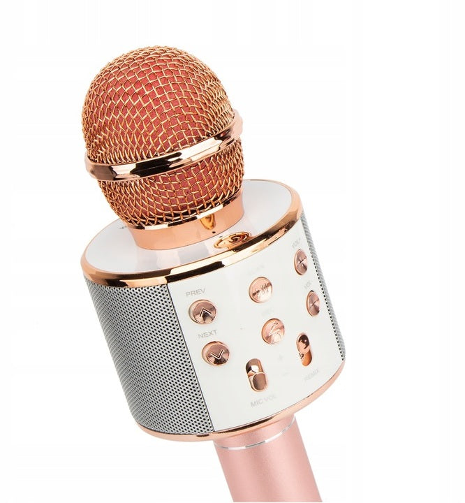 Children's wireless microphone Brand Roneberg