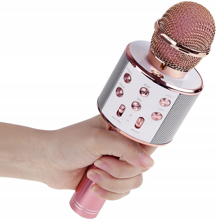 Children's wireless microphone