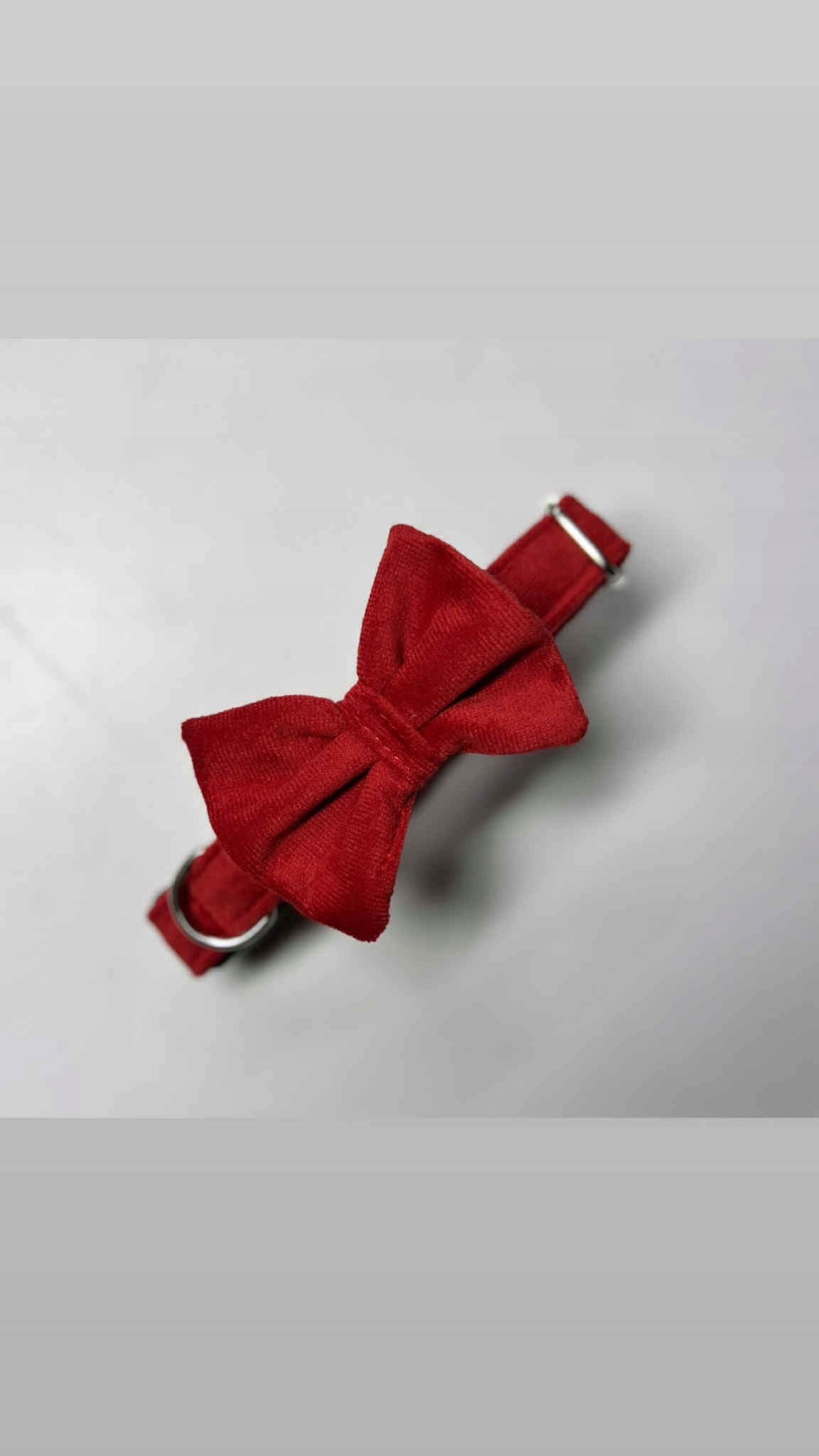 Christmas collar with bow collar for dog Manufacturer code Handmade na 4 łapy