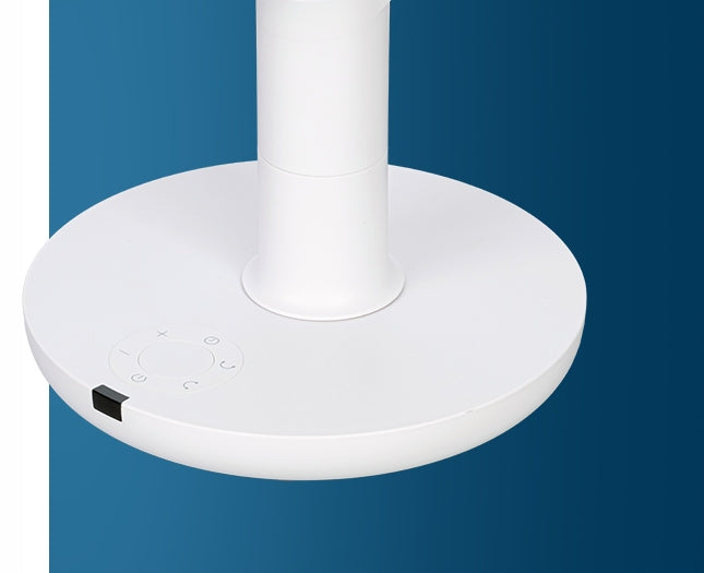Circulator Standing Fan with Remote Control Raven ECP005 Oscillation White Fan type circulator