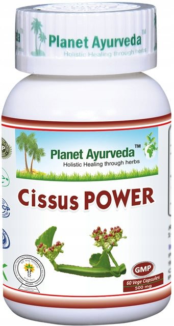Cissus power 500mg 60 kapsúl