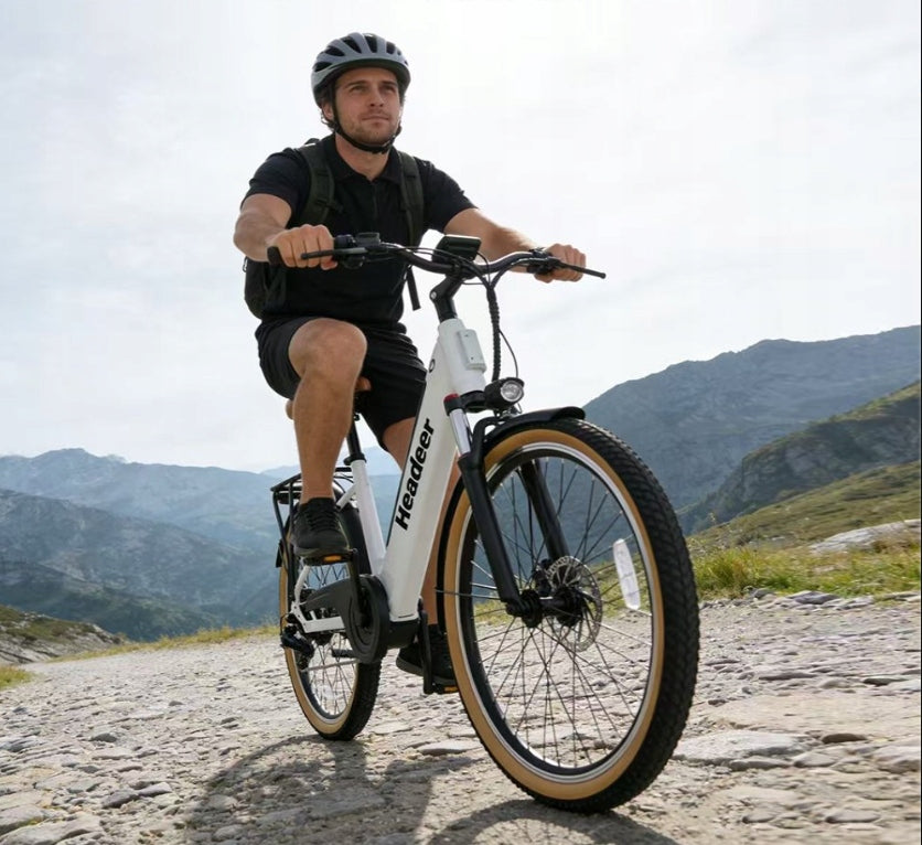 City Electric Bikes HEADEER 250W 48V 11.6AH 26*1.95 LCD E-BIKE PL Frame size smaller