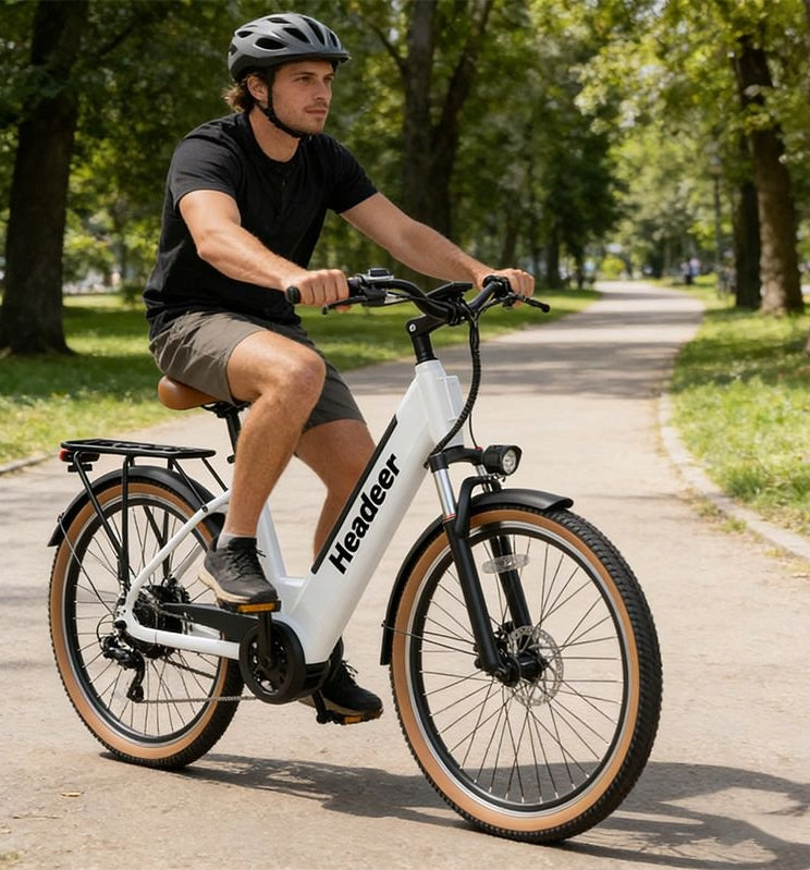 City Electric Bikes HEADEER 250W 48V 11.6AH 26*1.95 LCD E-BIKE PL Model HEADEER 250W 25KM/H 11.5Ah 26"