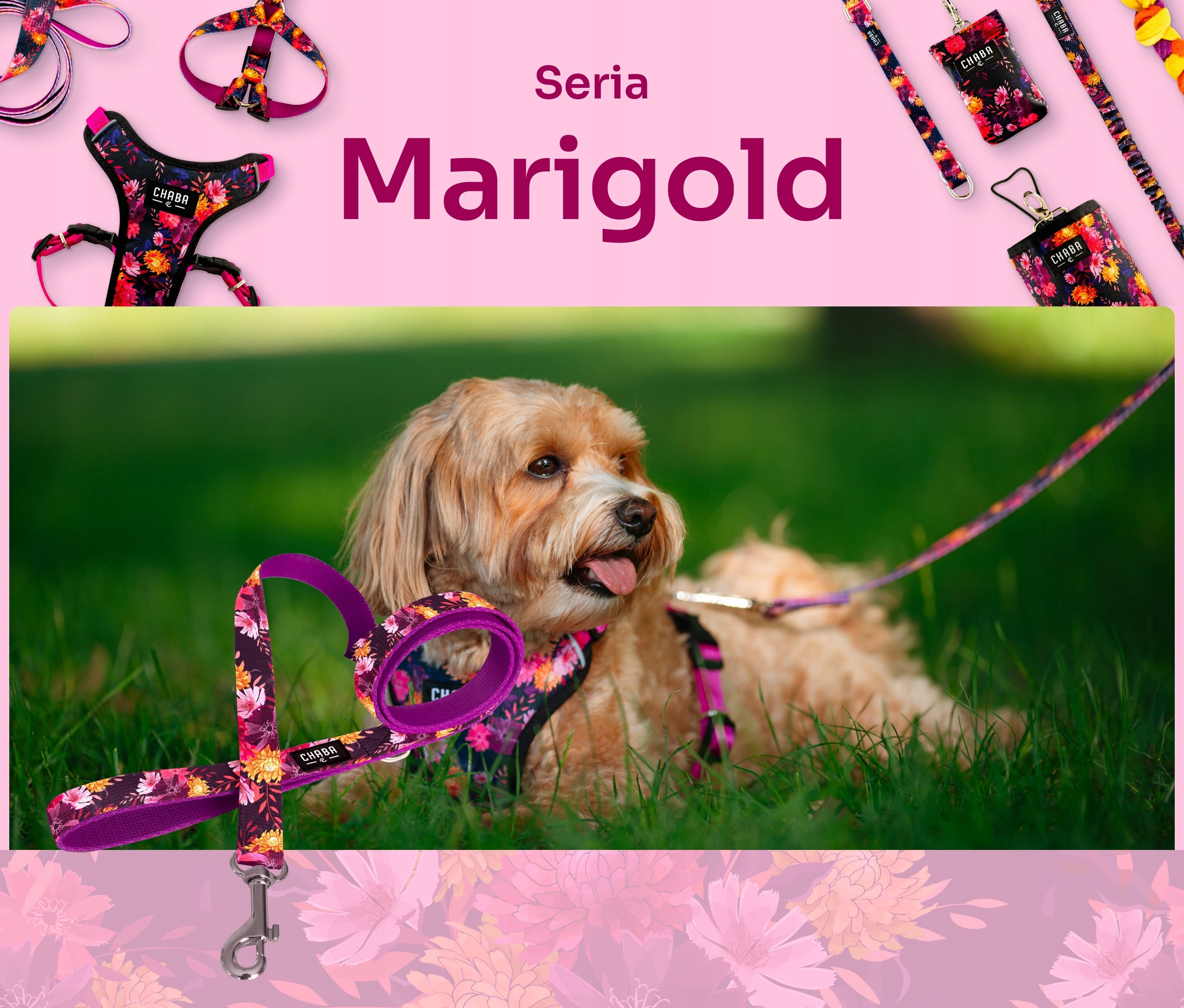 City Lanyard for Dog Chaba Marigold size S 130 cm - Comfort and Style Manufacturer code 652940