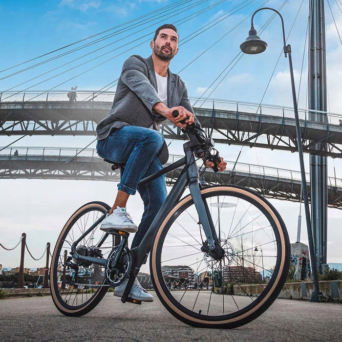 City electric bike FIIDO C21 (28'') Grey L Authorized Shop EAN (GTIN) 6971957790556