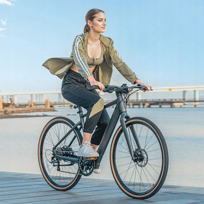 City electric bike FIIDO C21 (28'') Grey L Authorized Shop Manufacturer code Fiido C21