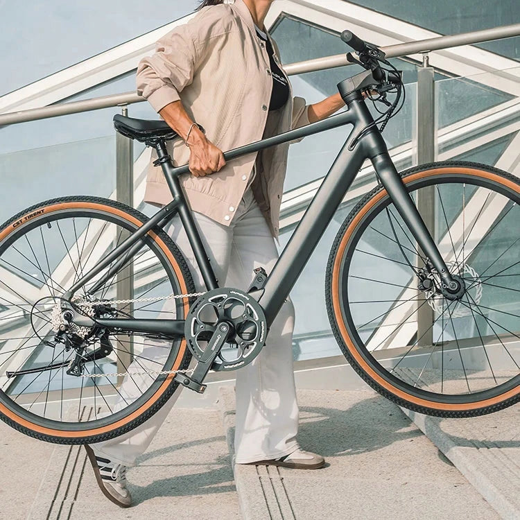City electric bike FIIDO C21 (28'') Grey L Authorized Shop Model C21 Pro