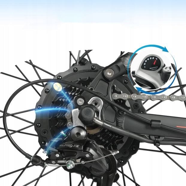 City electric bike MAXTRON MX1 250W 48V 13Ah 25KM/H 100HP MTB-EU Manufacturer code MAXTURN MX1-EU-5601971268717-TTGO HZ 28ST