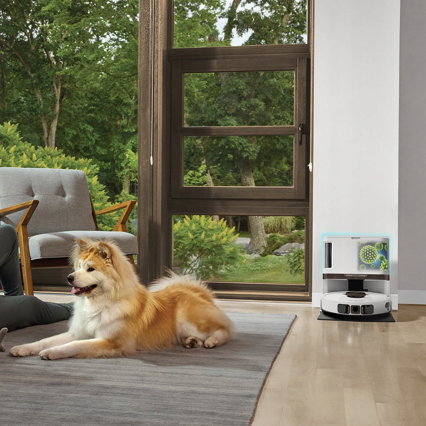 Cleaning robot Shark PowerDetect NeverTouch Pro 2 in 1 white Brand Shark