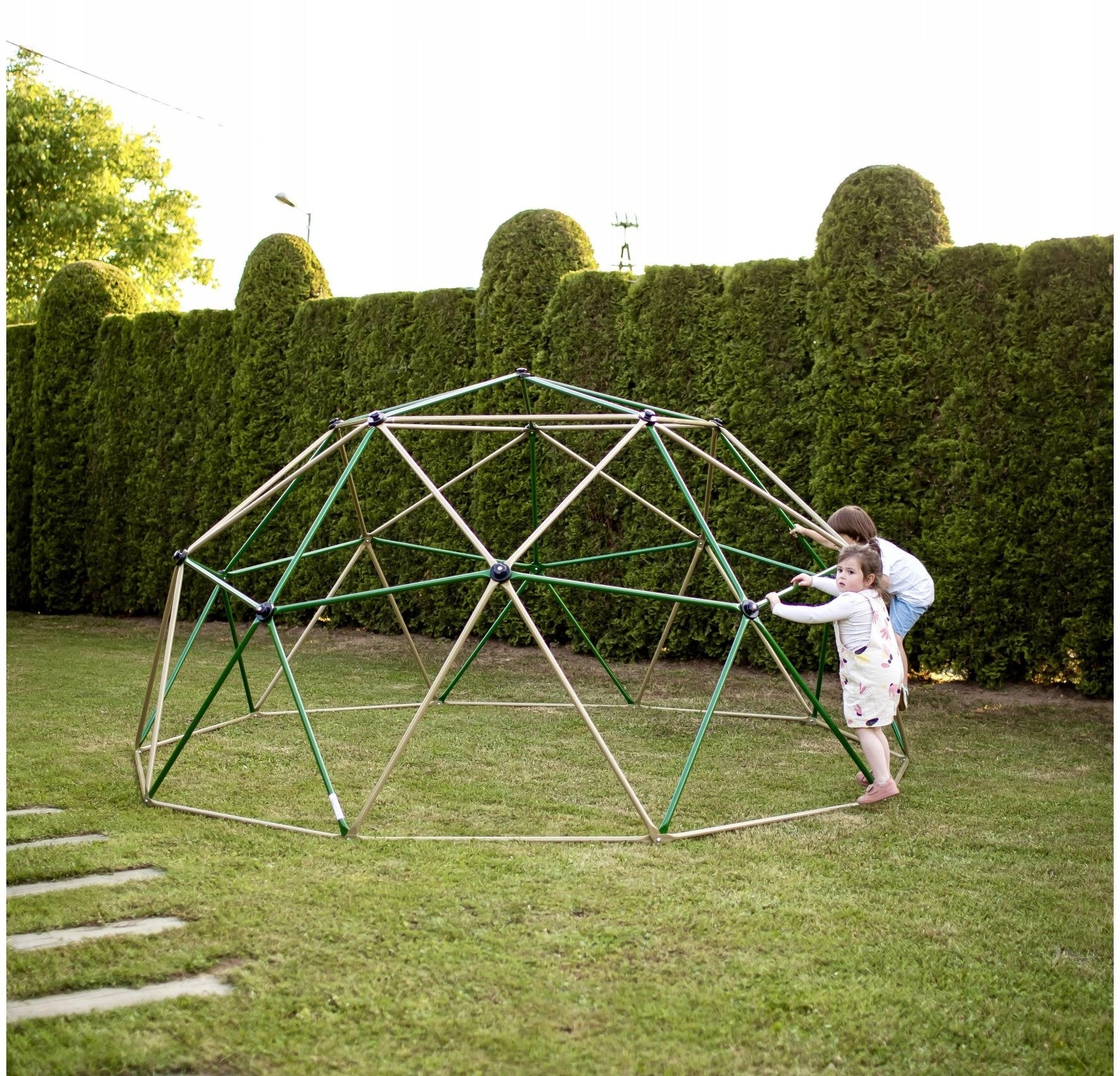 Climbing Dome Metal Ladder Metal Solidly Made 350kg XXXL Brand HyperMotion