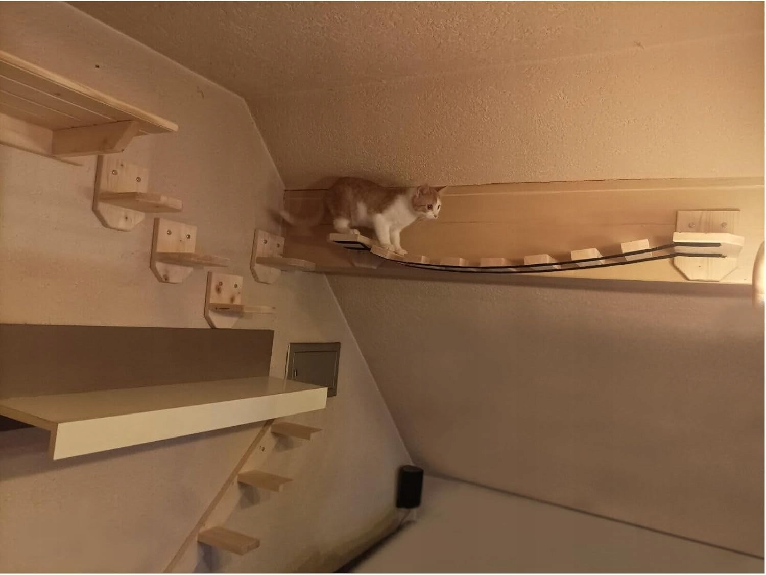 Climbing Wall for Cat Obstacle Course To Wall Staircase Bed Packaging status original
