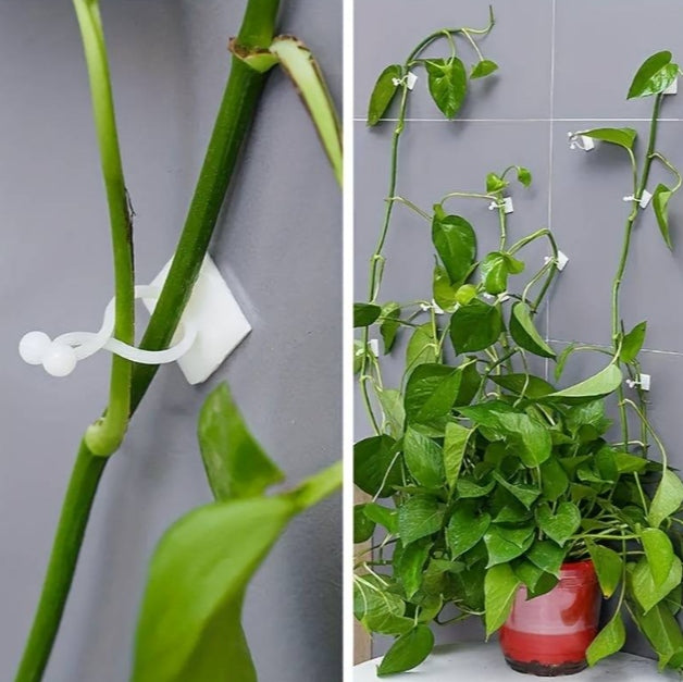Climbing holder for plant vines 20mm 10 pcs EAN (GTIN) 5905317624329