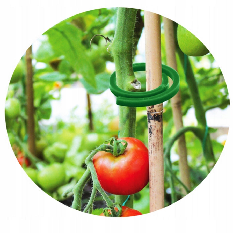Clip Wire For Plant Flower Tomato Clasp Clips Holder Set of 100 Pcs Number of pieces 100 pcs