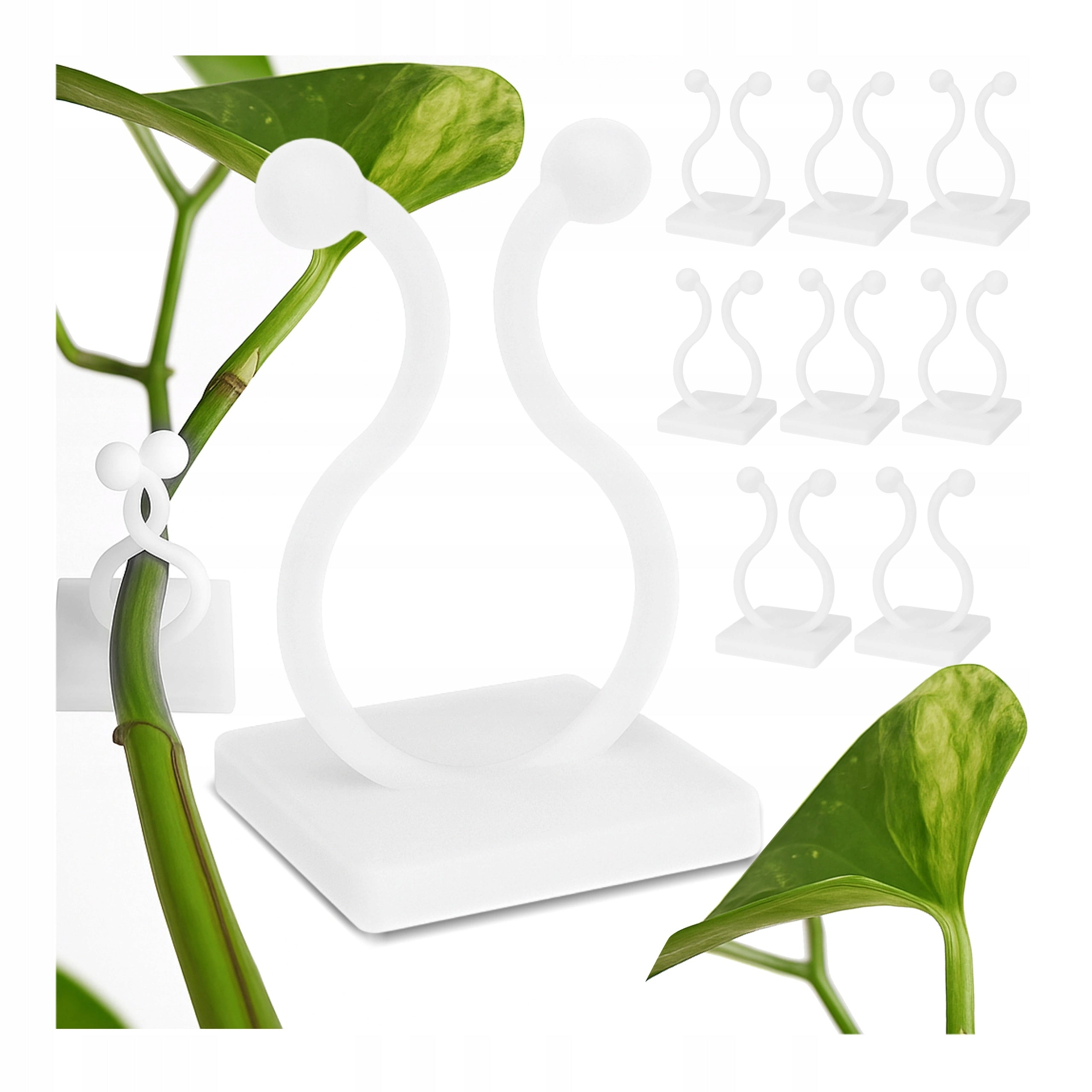 Clip for Fixing Plant Creepers 20 mm Self-Adhesive Holder - 10 Pieces