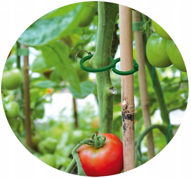Clips for Fixing Climber Tomato Plants, 2 sizes, 40 pcs. Number of pieces 40 pcs
