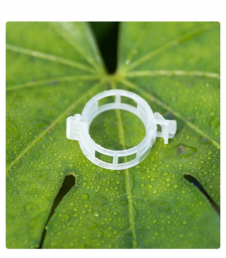 Clips for tomatoes Clips for guiding shoots of plant stems zapink 100pcs Brand Bobimarket