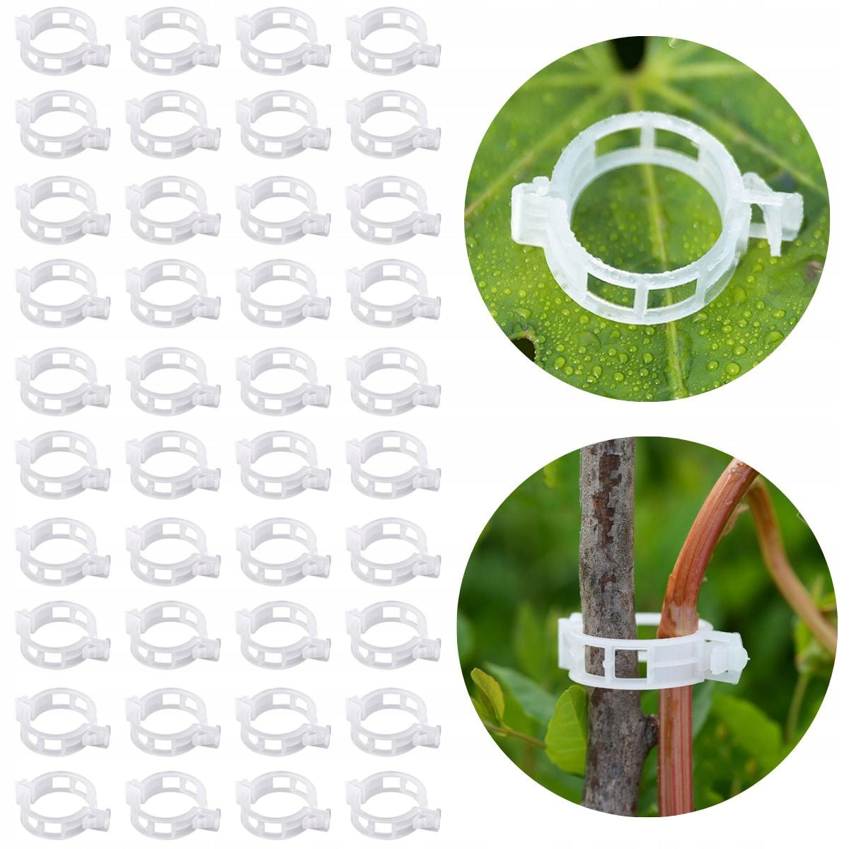 Clips for tomatoes Clips for guiding shoots of plant stems zapink 100pcs