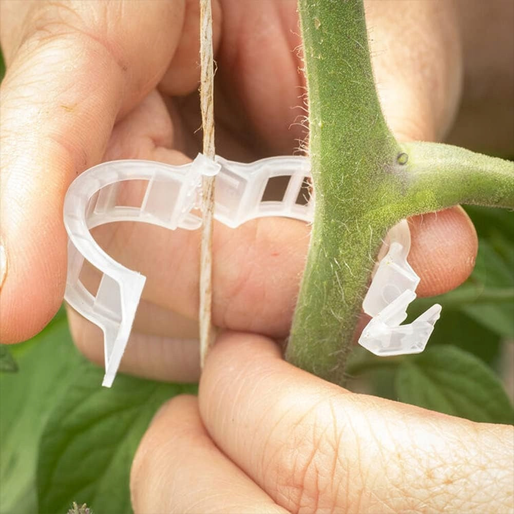 Clips handles for climbing stems - for tomatoes and plants 100 pcs. Color transparent