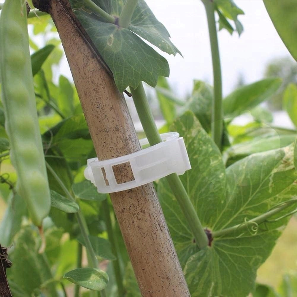 Clips handles for climbing stems - for tomatoes and plants 100 pcs. Dominant material plastic