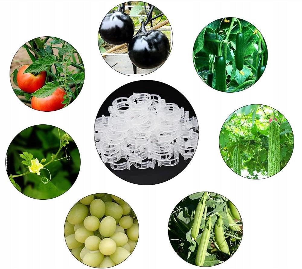 Clips handles for climbing stems - for tomatoes and plants 100 pcs. Number of pieces 100 pcs