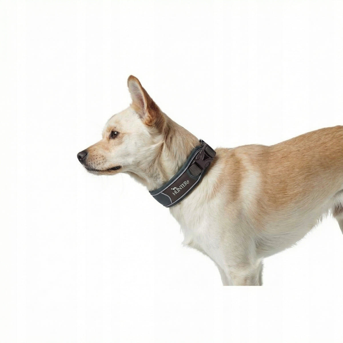 Collar Hunter Divo Grey Soft Size S (25-35 cm) Manufacturer code 67625